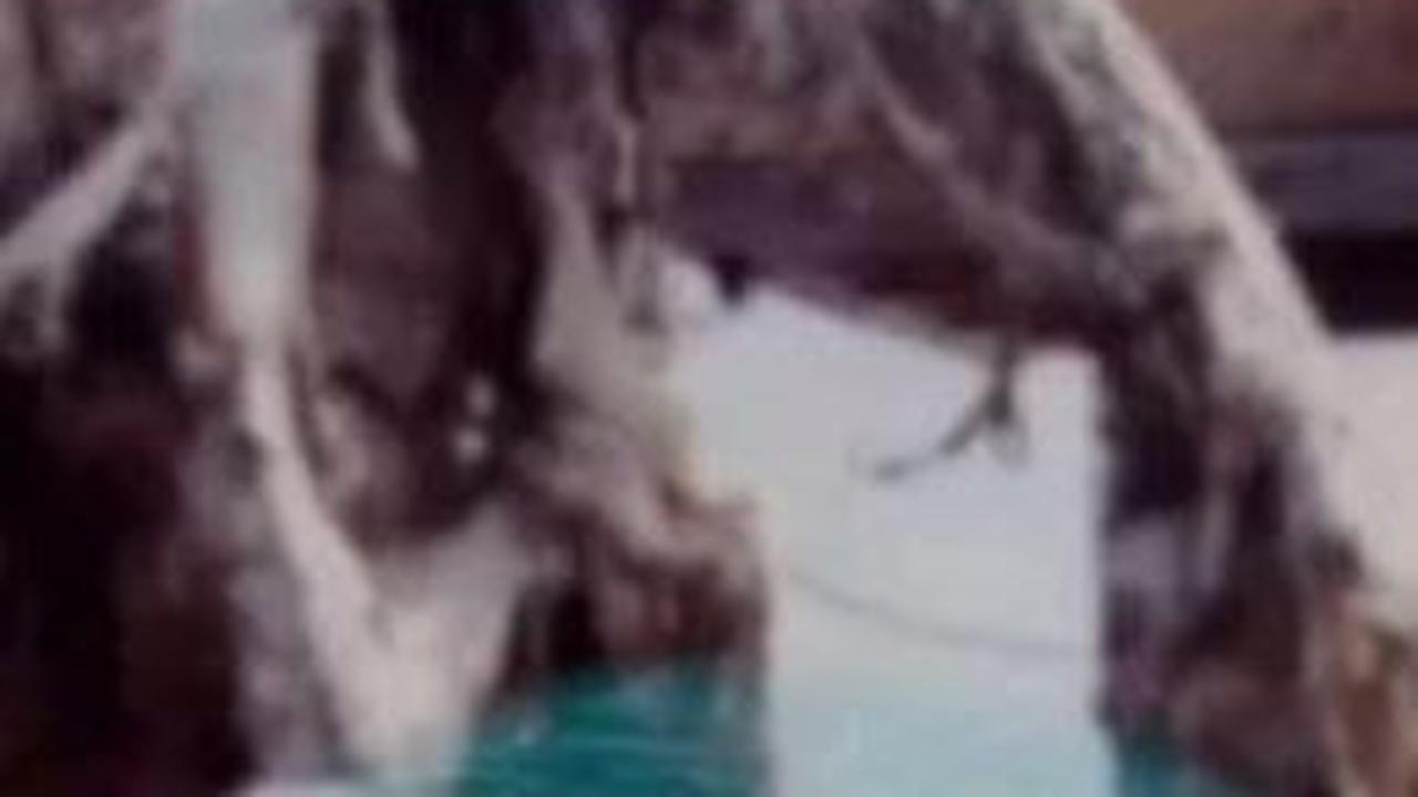 Nelayan Temukan Ikan Aneh Mirip Dinosaurus Sepanjang 9 Meter, Baunya Busuk Menyengat