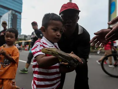 Seorang anak tampak mengelus seekor ular saat momen Car Free Day (CFD) di kawasan Bundaran HI, Jakarta, Minggu (29/1). Tak sedikit pengunjung Car Free Day yang ingin berfoto dengan hewan reptil tersebut. (Liputan6.com/Faizal Fanani)