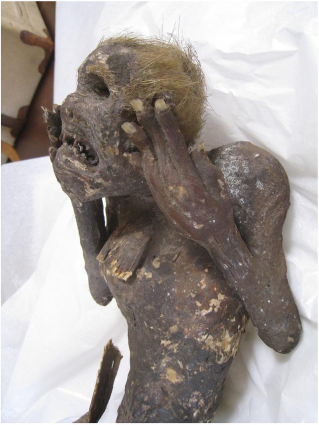 Misteri Putri Duyung Diduga Terungkap, Ternyata Buatan Manusia Tahun 1800-an