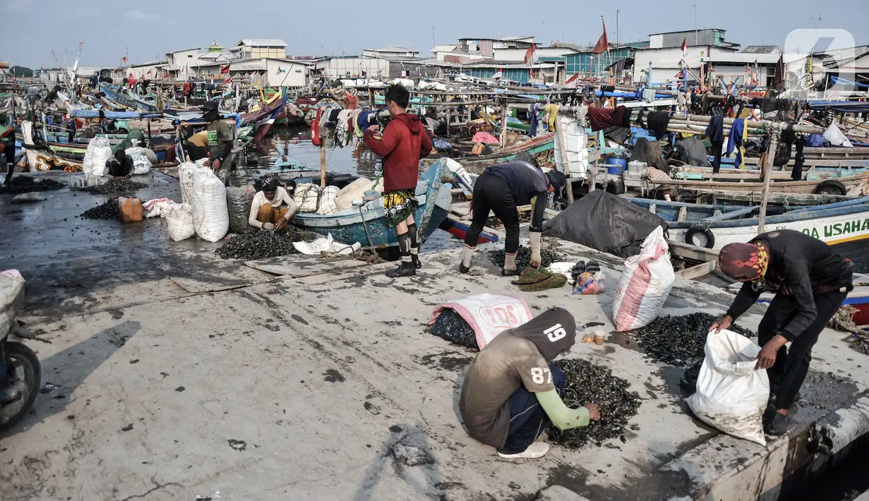 Aktivitas nelayan saat menurunkan hasil tangkapan di Perkampungan Nelayan Kalibaru, Cilincing, Jakarta Utara, Rabu (29/6/2022). Peringatan Hari Nelayan Internasional yang jatuh pada 29 Juni dibuat untuk menghargai dan mengintegrasikan upaya para nelayan dan ikan yang mereka tangkap merupakan sumber nutrisi utama bagi penduduk dunia. (merdeka.com/Iqbal S. Nugroho)