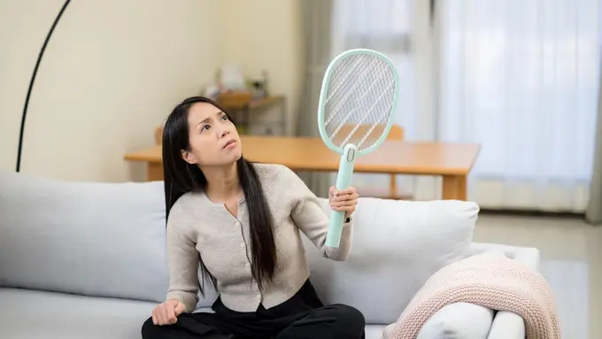 Cara Jitu Mengusir Nyamuk dari Dalam Rumah, Ternyata Semudah Itu Lho