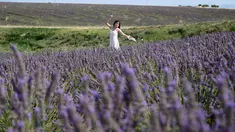 Seorang wisatawan saat berpose di ladang lavender dekat Valensole, Prancis tenggara, pada 21 Juli 2023. (Nicolas TUCAT / AFP)
