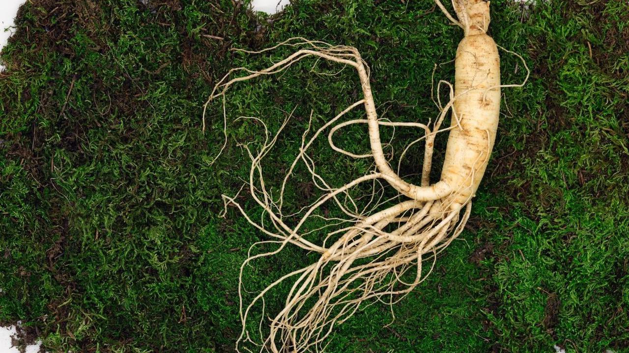 5. Ginseng: Akar Penenang