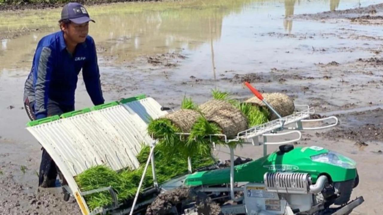 Strategi Pemerintah Hadapi Kemarau 2026, Terapkan Teknologi Hemat Air hingga Pengaturan Pola Tanam