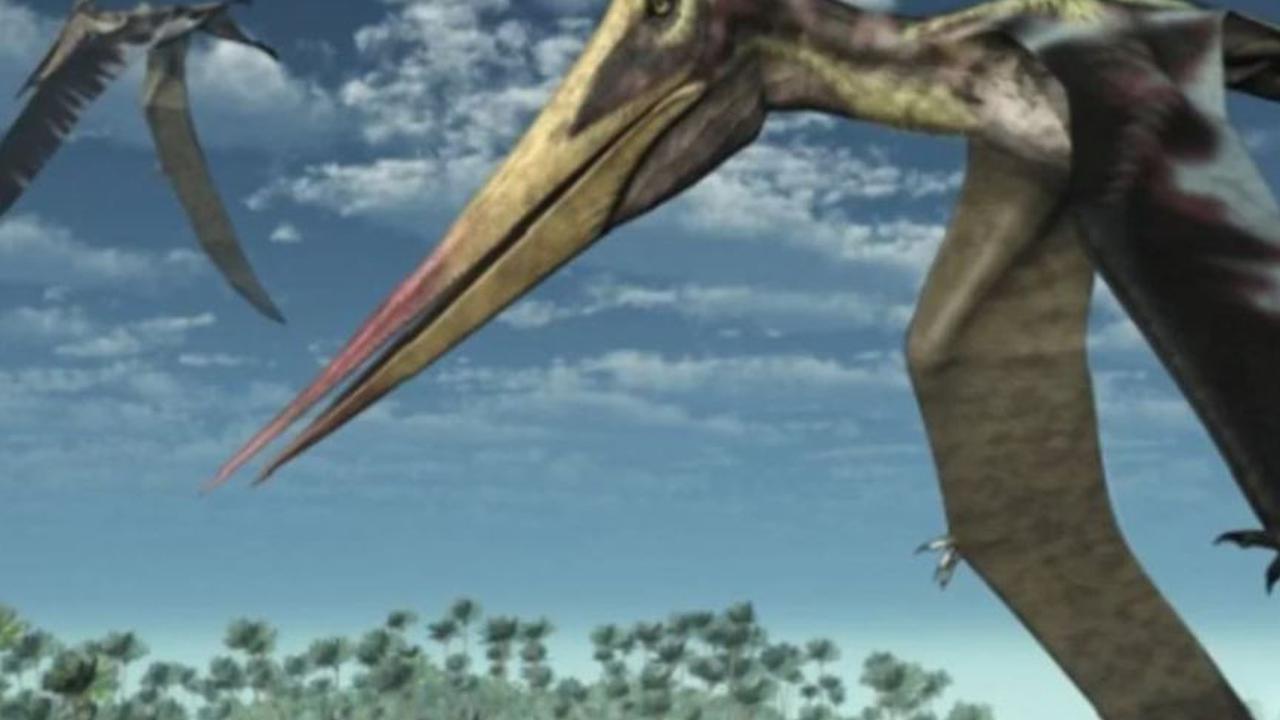 Seukuran Jet Tempur