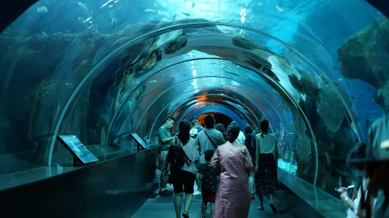S.E.A Aquarium