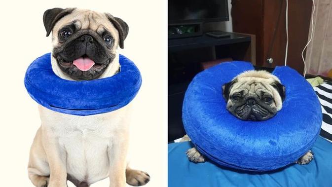 10 Ekspektasi Vs Realita Beli Barang Online Bikin Nyesek. Sumber: Brightside