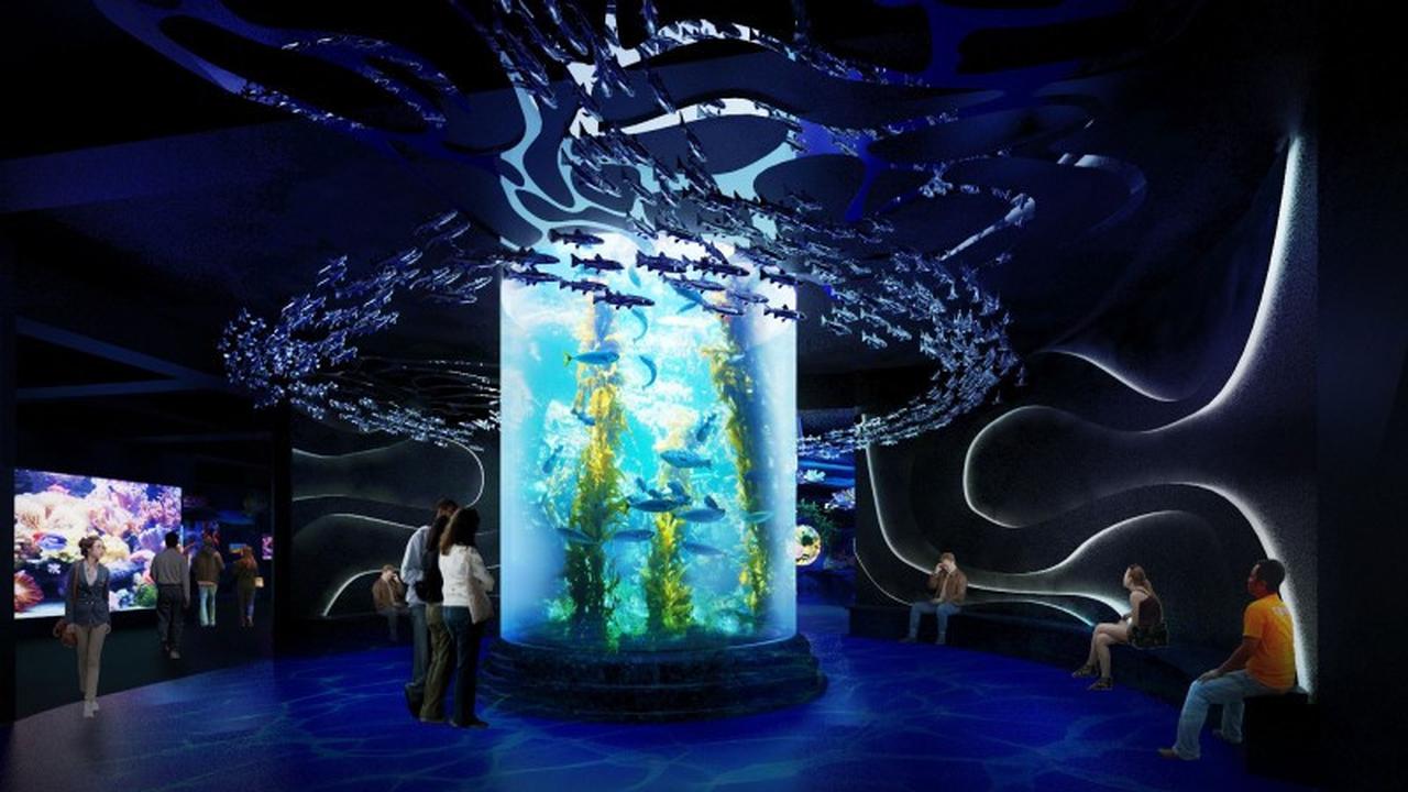 Pertunjukan sulap di bawah laut