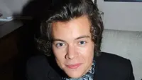 Harry Styles Jadi Bahan Olokan di Internet