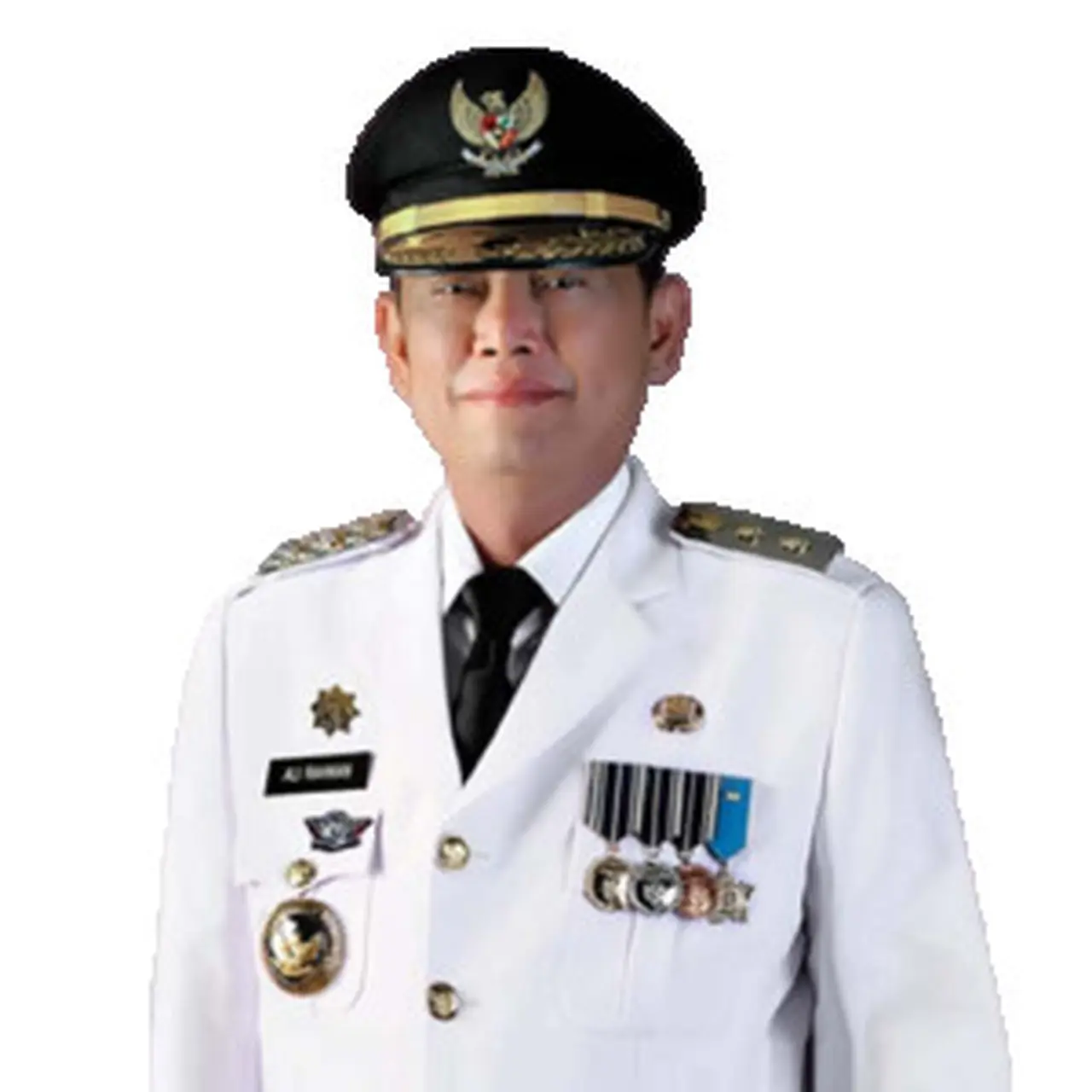 Profil Ali Rahman Bupati Way Kanan, Awali Karier sebagai Pegawai Kecamatan