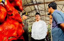 Mentan Desak Pengusutan Tuntas Aktor Penyelundupan Bawang Cabai Ilegal di Kalbar