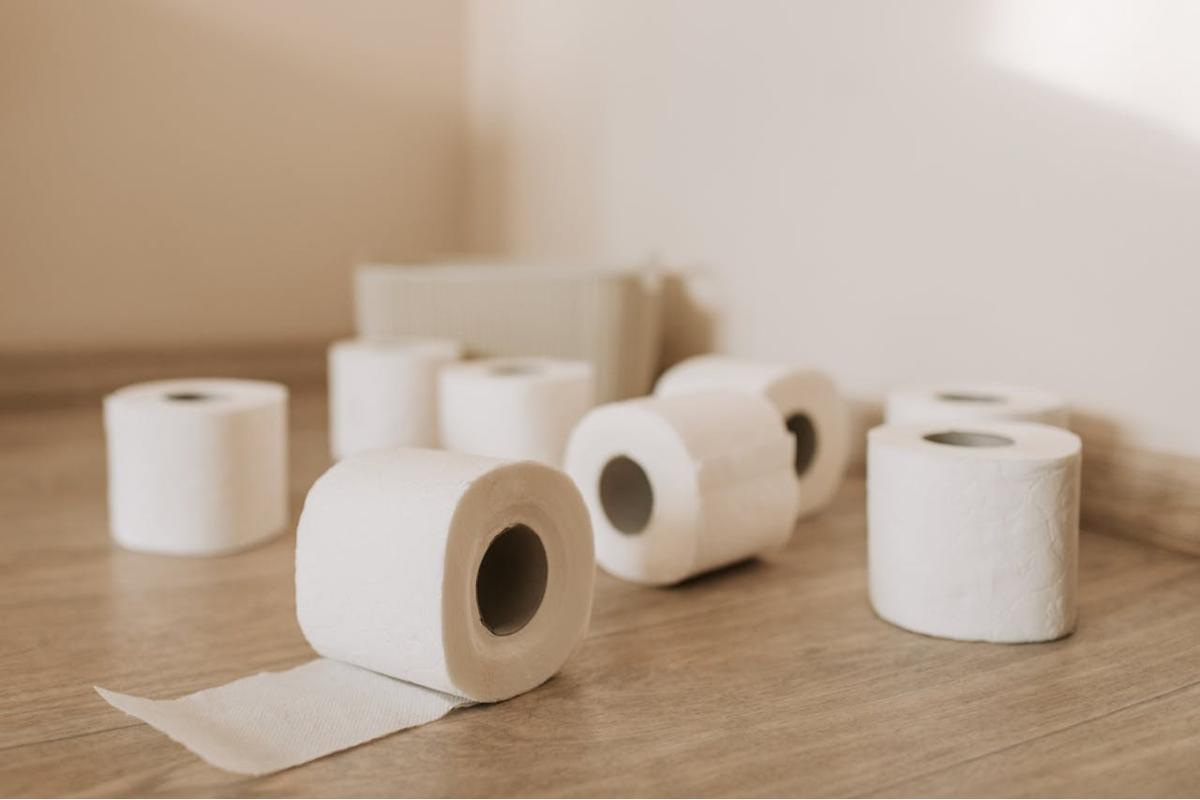 Tisu Toilet