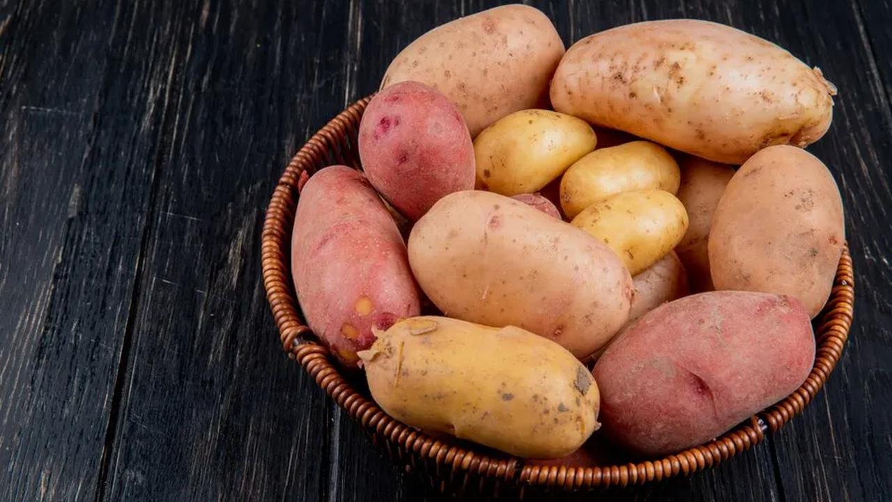 Memasak untuk Kesehatan