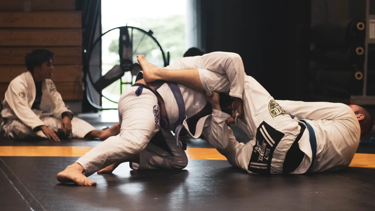 Ilustrasi Judo