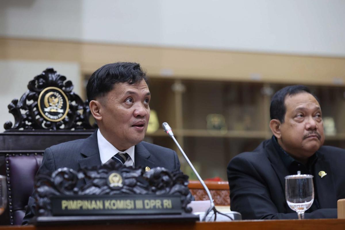 FOTO: Komisi III DPR Minta Penangguhan Penahanan Kreator Video Profil Desa di Karo