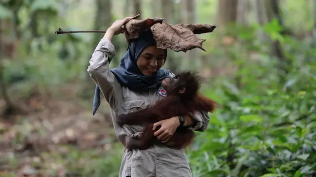 Sekolah untuk Orangutan di Kalimantan Timur