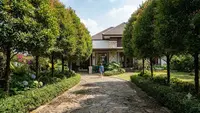 8 Cara Membuat Jalan Masuk Rumah Lebih Teduh dengan Dua Baris Pohon, Bikin Fasad Lebih Menawan