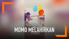 Kabar bahagia datang dari pasangan Momo dan sang suami Nicola. Keduanya dikaruniai anak pertama berjenis kelamin perempuan.