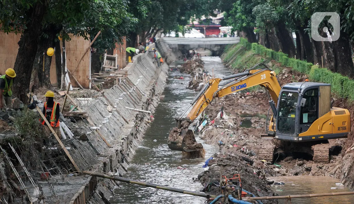 Perbaikan ini dilakukan untuk menjaga fungsi resapan air di kawasan tersebut. (Liputan6.com/Herman Zakharia)