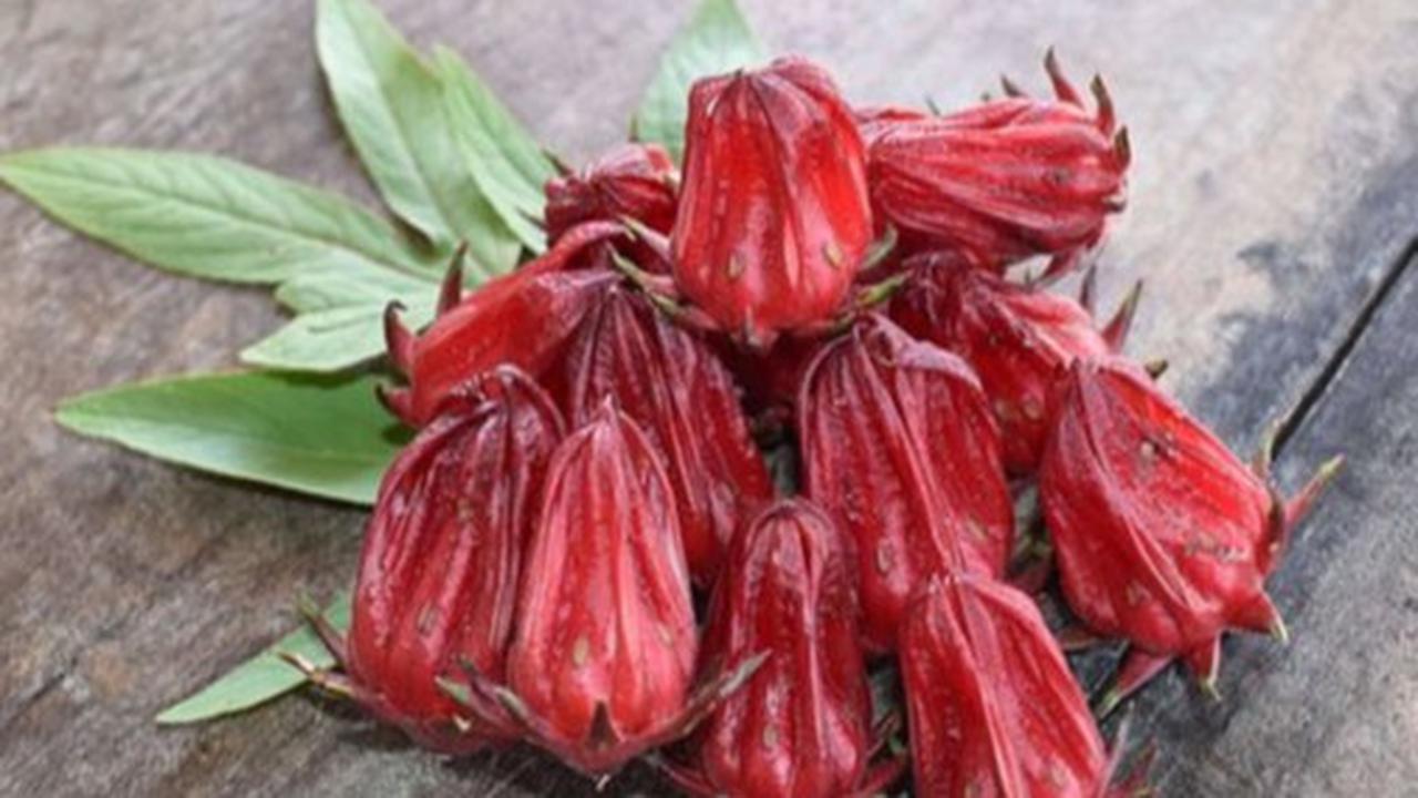 Ramuan Alami Penurun Kolesterol, Resep Tradisional yang Terbukti Efektif