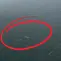 Tangkapan layar video di dekat Anak Krakatau. (Istimewa/Andrea Ramadhan)