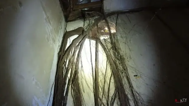 Rumah artis 80-an terbengkalai