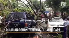 Puluhan pohon tumbang di Jatinegara akibat hujan deras dan angin kencang.