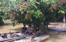 Cara Unik Personel Polri Sampaikan Pesan Pilkada Damai dari Atas Perahu
