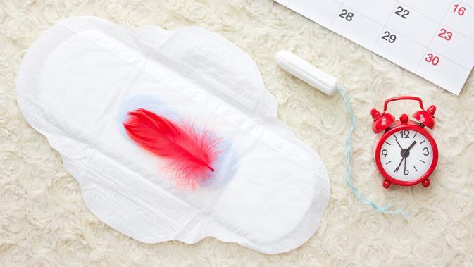 ilustrasi pembalut menstruasi/copyright By La corneja artesana (Shutterstock)