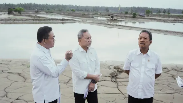 Menteri Koordinator Bidang Pangan Zulkifli Hasan.
