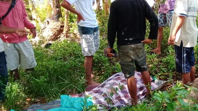 970+ Gambar Kata Kata Romantis Orang Ambon Gratis