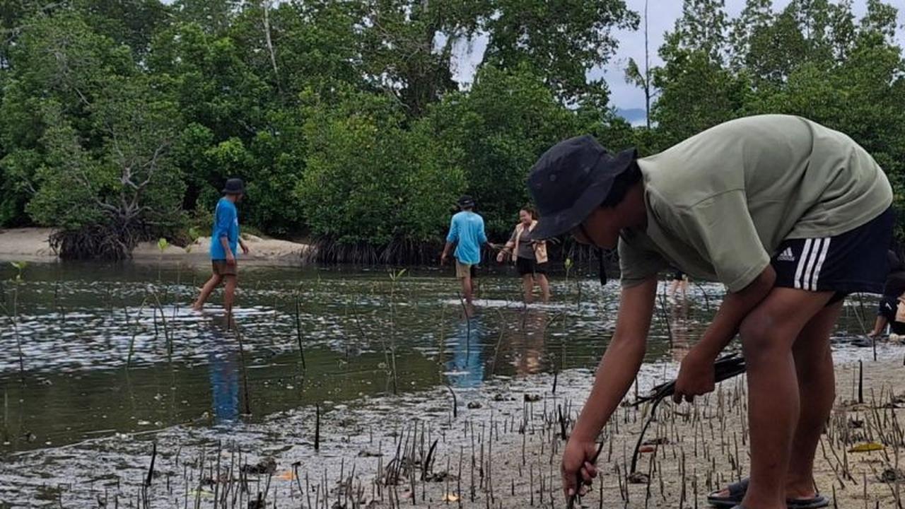 Pemuda Oncone Raya Tanam 2.600 Mangrove, Perkuat Mitigasi Bencana Pesisir Parigi Moutong