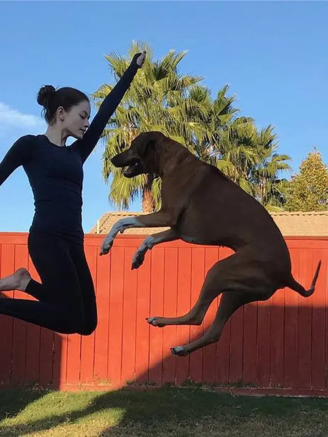 [Bintang] Mackenzie Foy