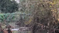 Diduga Cemari Sungai Cibojong, 3 Pabrik Batu Hijau di Sukabumi Dibekukan