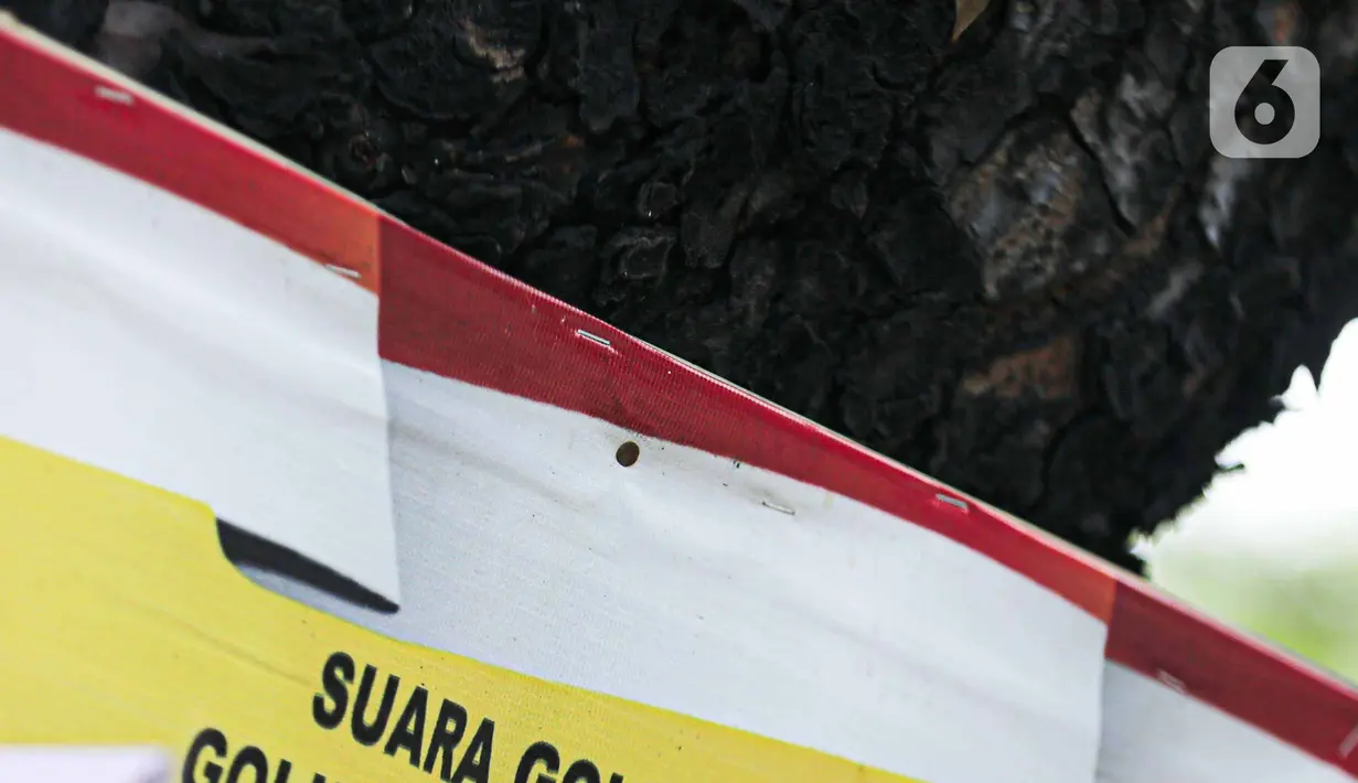 Dalam jangka panjang, paku yang ditancapkan pada batang pohon akan memengaruhi pertumbuhan dan kesehatan tanaman tersebut. (Liputan6.com/Faizal Fanani)