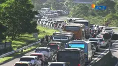 Meski longsor melanda Puncak beberapa waktu lalu, tidak menyurutkan animo wisatawan untuk tetap menghabiskan libur panjang di kawasan wisata tersebut.