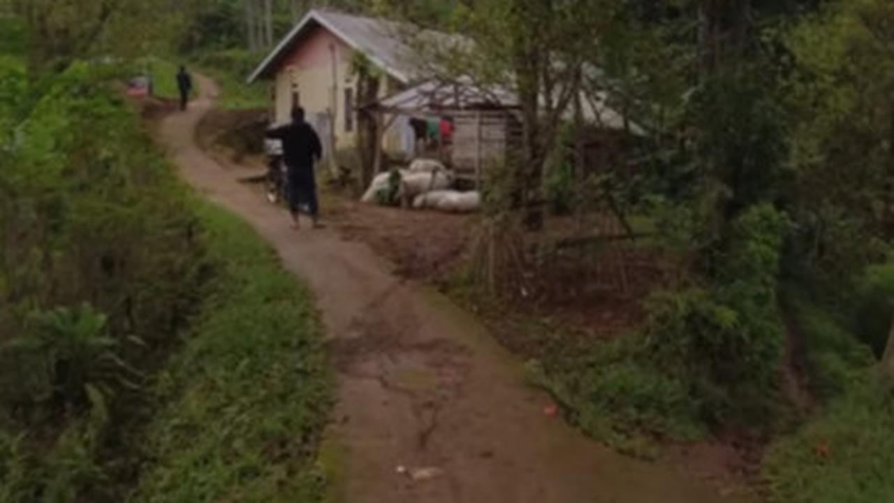 jamilah tinggal di hutan