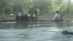 liputan6