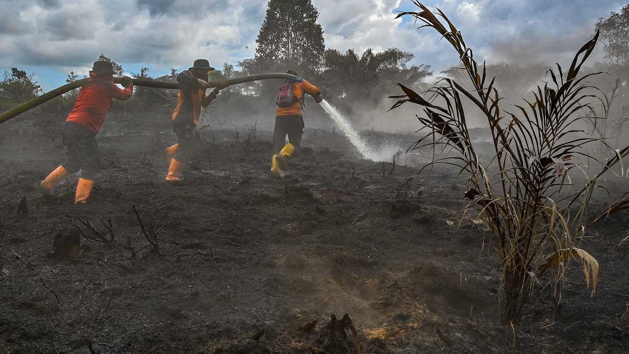 FOTO: Semangat Petugas BPBD Aceh Barat di Tengah Sulitnya Memadamkan Api di Hutan Gambut