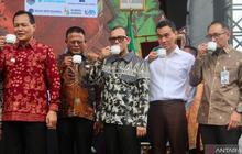 Unik! Kopi Liberika OKU, Si 'Buah Belum Signifikan' yang Punya Nilai Ekonomis Tinggi
