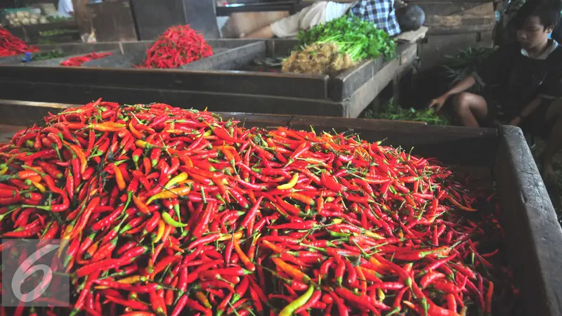 Dampak dari La Nina akan mengganggu proses produksi cabai sehingga pasokan berkurang. 