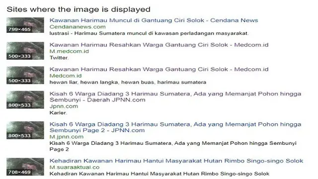 Gambar Tangkapan Layar Penelusuran Foto dengan Situs Yandex.