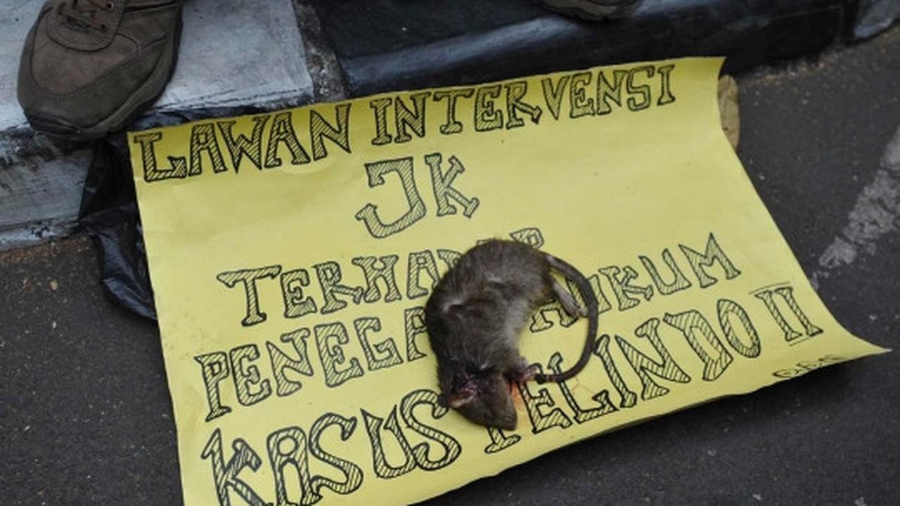 Gelar aksi demo Wapres JK, massa bawa bangkai tikus
