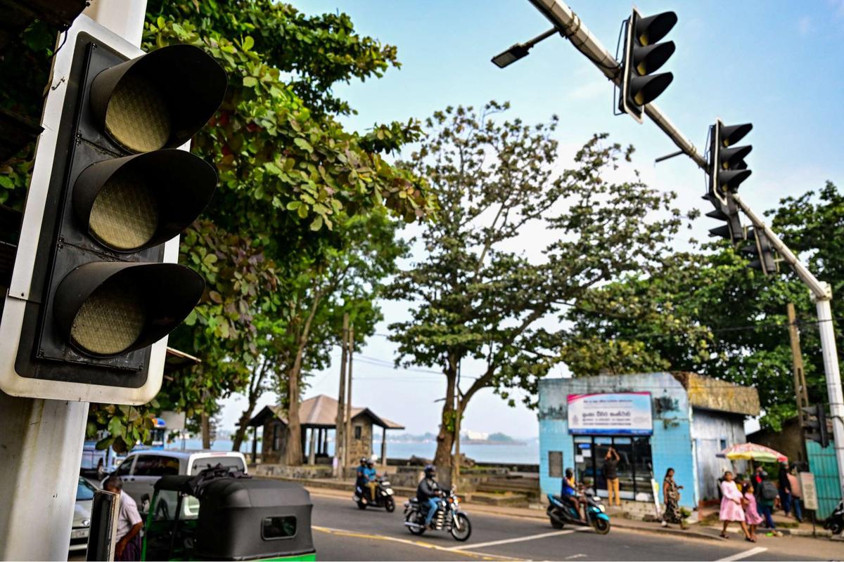 Sri Lanka Dihantam Pemadaman Listrik Satu Negara Gara-Gara Monyet