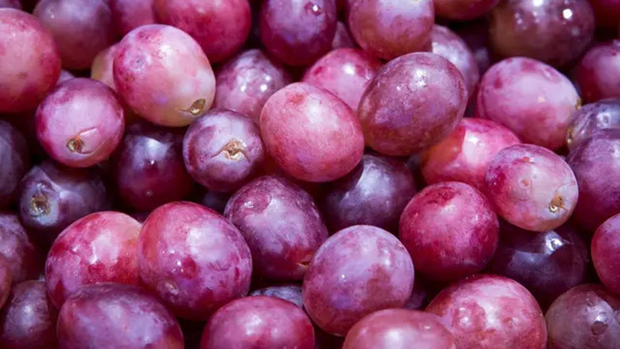 Cara Menghilangkan Lapisan Lilin pada Buah Anggur agar Aman Dikonsumsi