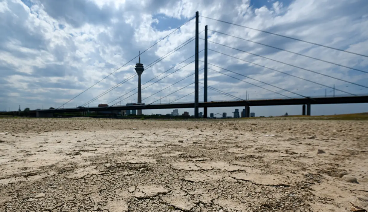 <p>Tanah kering di dasar sungai Rhine yang mengering sebagian terlihat di Duesseldorf, Jerman barat (25/7/2022). Keringnya sungah Rhine akibat Eropa mengalami gelombang panas. (AFP/Photo/Ina Fassbender)</p>