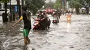 Pemotor menerobos banjir di kawasan Kemang, Jakarta, Jumat (11/11). Banjir di kawasan ini mencapai lutut orang dewasa. (Liputan6.com/Yoppy Renato)