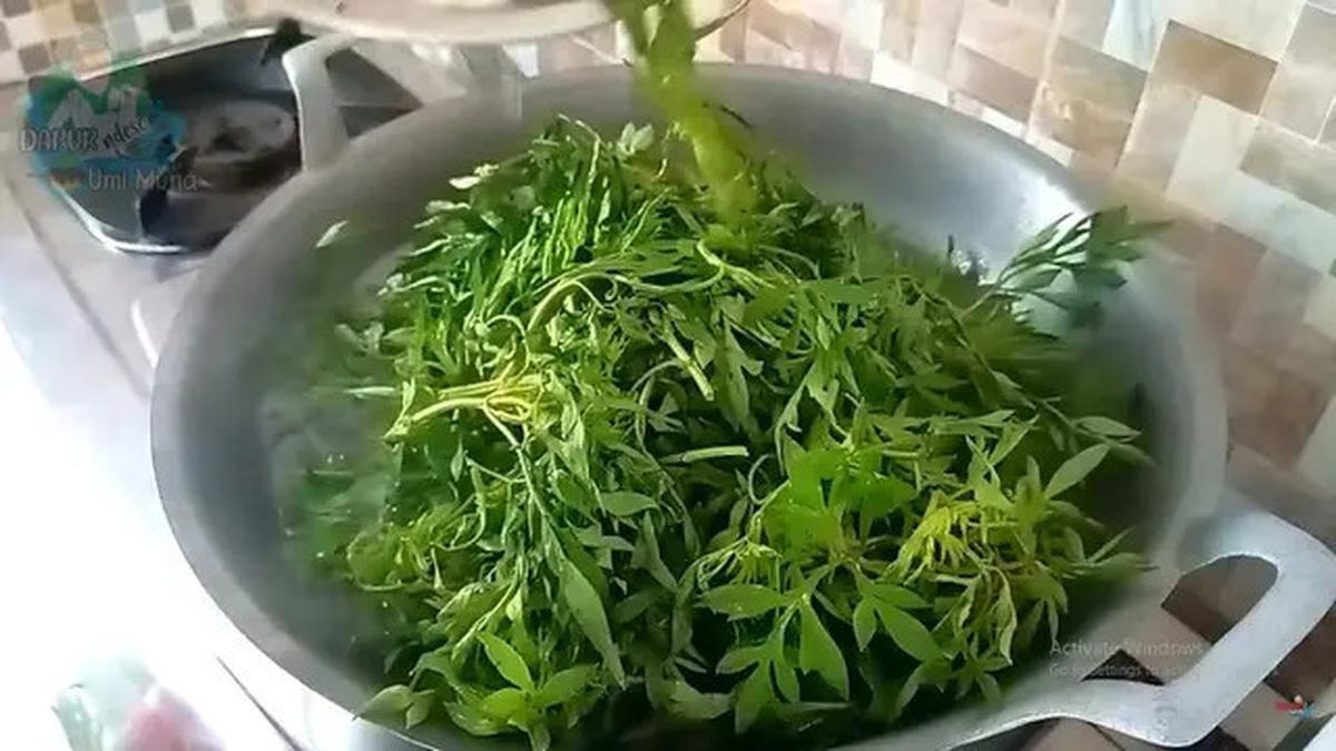 Resep Urap Daun Kenikir Lezat Mudah dan Kaya Manfaat untuk Kesehatan