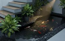 10 Desain Kolam Ikan Mini untuk Taman Kecil, Bikin Rumah Lebih Asri