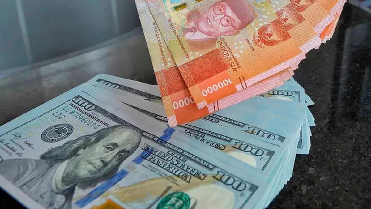 Google Salah Tampilkan Kurs 1 USD Jadi Rp 8.170, Pakar: Bisa Berbahaya!